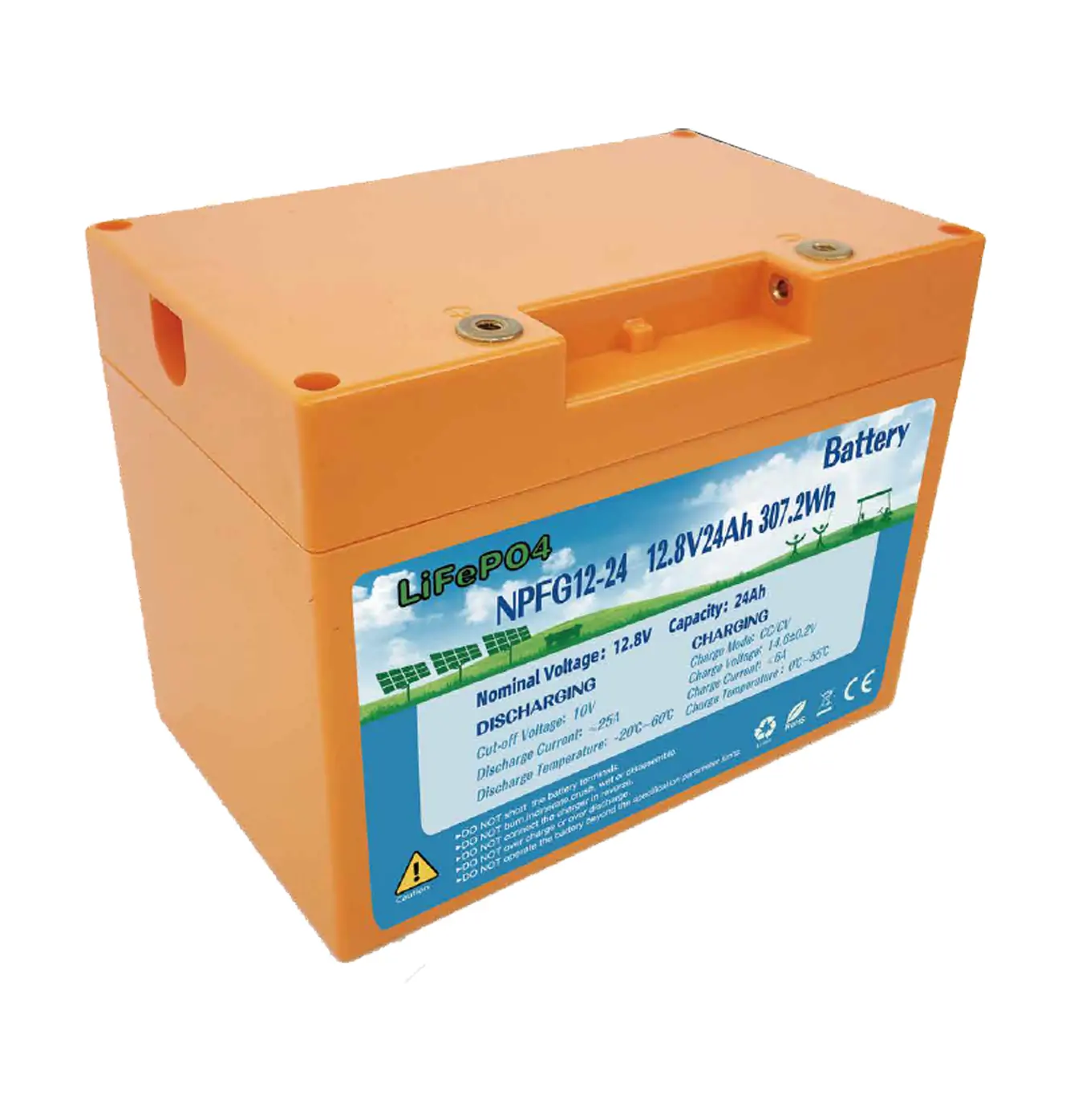 Model：NPFG12-24 12.8V 24Ah LiFePO4 Battery