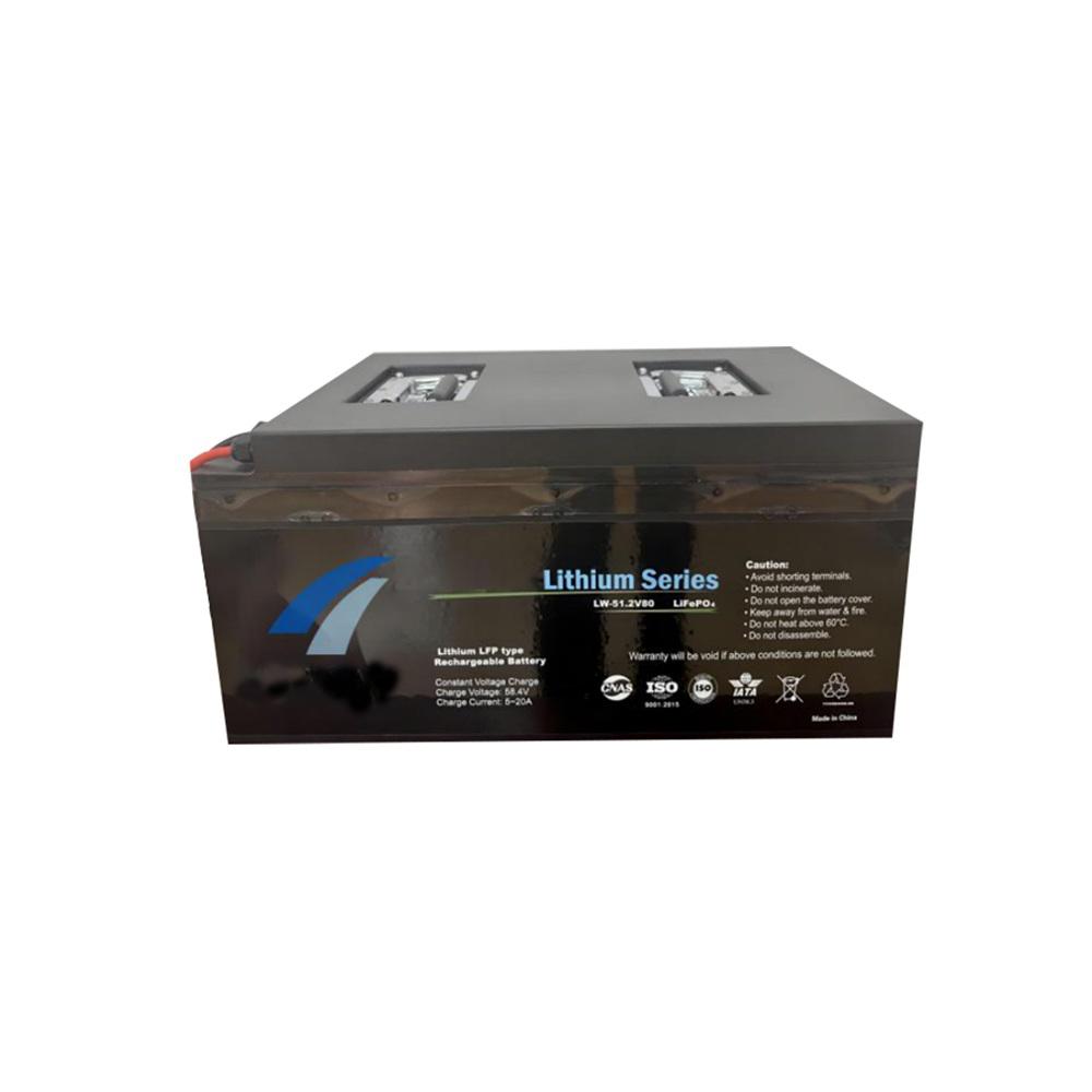 51.2V LiFePO4 EV-Battery