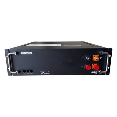 48V 100Ah Server Rack LiFepO4 Battery Pack For ESS