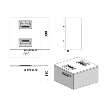 Customized 48V 34Ah Lifepo4 Battery Pack for Logistics Machines