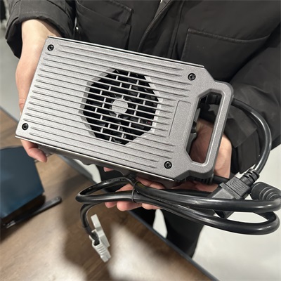 DALY 1200W 1200CG4825L Lithium Battery Smart Portable Charger
