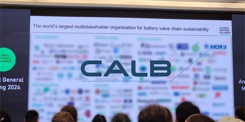 CALB and Smart cooperation battery project won the 2024 