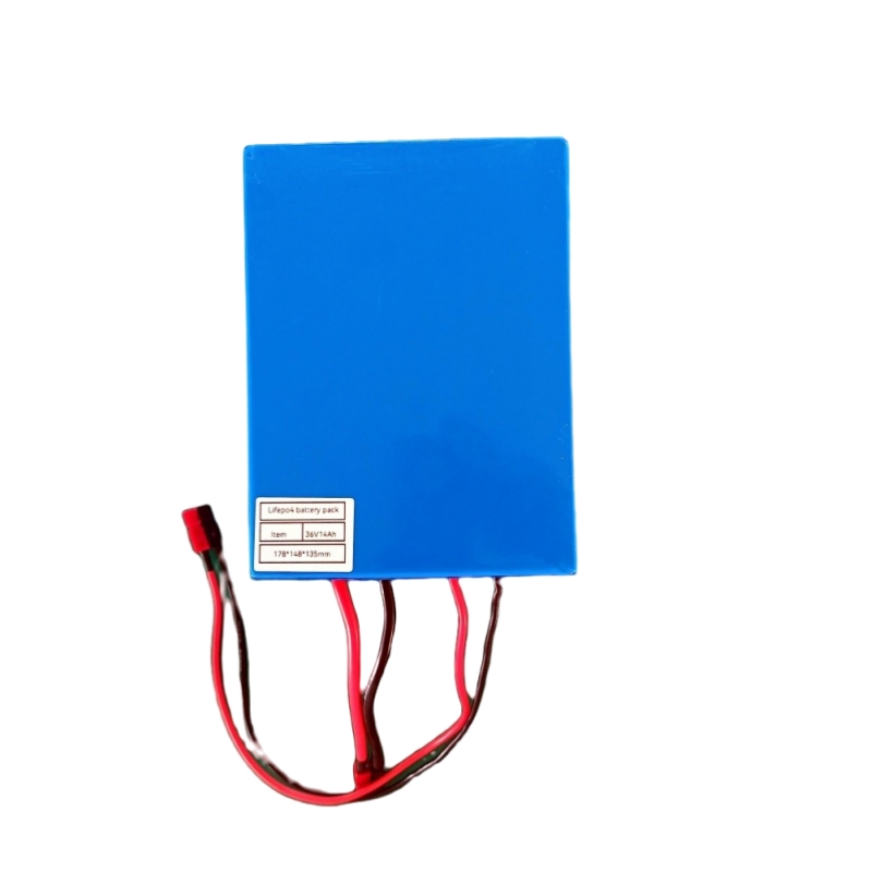 Customized 36V14Ah lifepo4 battery pack for ebike